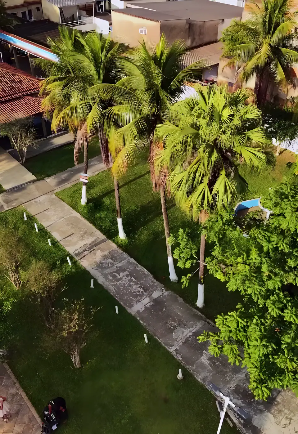 Gramado do Sítio Azul com palmeiras e céu aberto