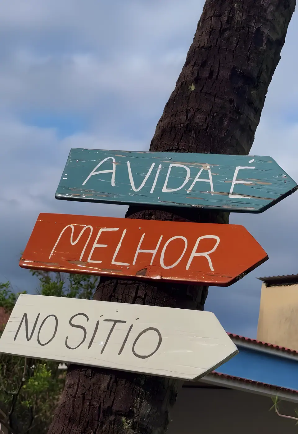 Placas de madeira pintadas à mão em uma palmeira do sítio: a vida é melhor no sítio